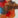 splats_thumb